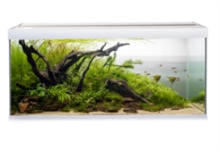 AkvaStabil Element akvarie - 180 liter - Hvid